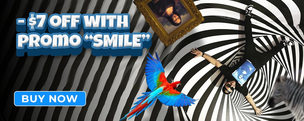 promo smile museum of selfies