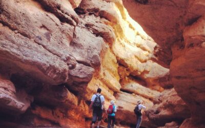 Best Walking Trails in Las Vegas